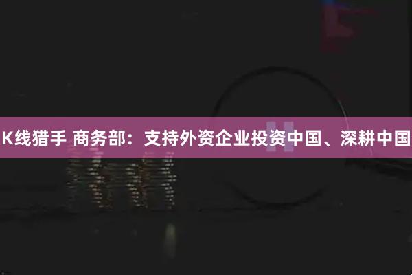 K线猎手 商务部：支持外资企业投资中国、深耕中国